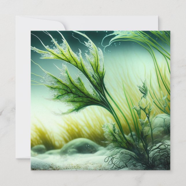 Cartes Pour Fêtes Annuelles Commune d'Underwater (Devant)