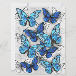 Cartes Pour Fêtes Annuelles Composition des White and Blue Butterflies