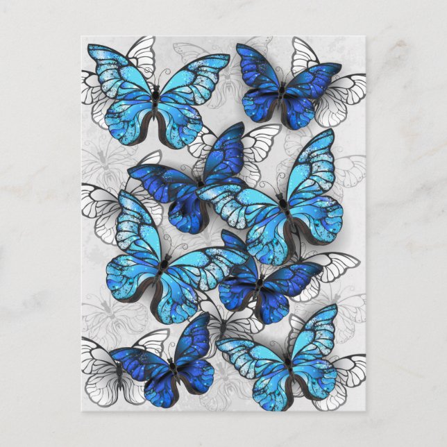 Cartes Pour Fêtes Annuelles Composition des White and Blue Butterflies (Devant)