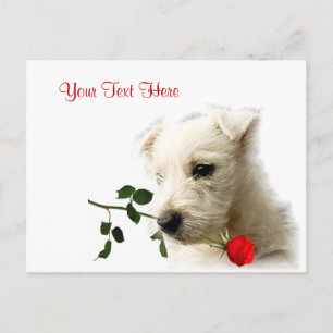 Cartes Pour Fêtes Annuelles Conception de Westie Red Rose Valentin