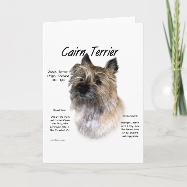 Cartes Pour Fêtes Annuelles Conception d'histoire de Terrier de cairn (Devant)