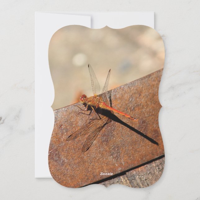 Cartes Pour Fêtes Annuelles Conception Dragonfly Avec Brown (Dos)