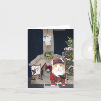 Cartes Pour Fêtes Annuelles Condo de Noël drôle personnalisable