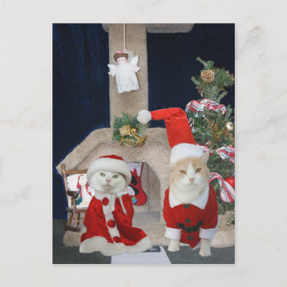 Cartes Pour Fêtes Annuelles Condo de Noël marrant/mignon