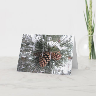 Cartes Pour Fêtes Annuelles Cônes de pin dans la neige