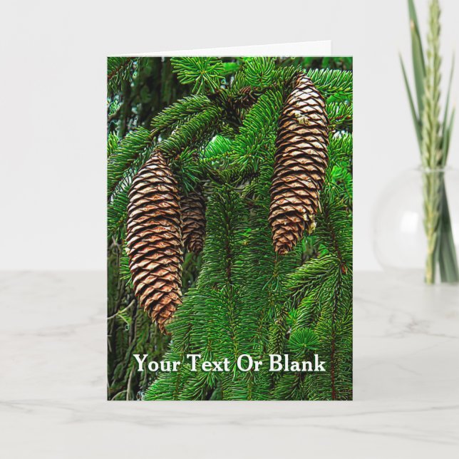 Cartes Pour Fêtes Annuelles Cônes Et Aiguilles (Devant)