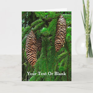 Cartes Pour Fêtes Annuelles Cônes Et Aiguilles