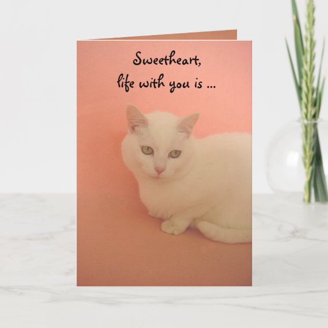 Cartes Pour Fêtes Annuelles Contentement PURRRR (Devant)