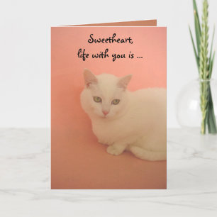 Cartes Pour Fêtes Annuelles Contentement PURRRR