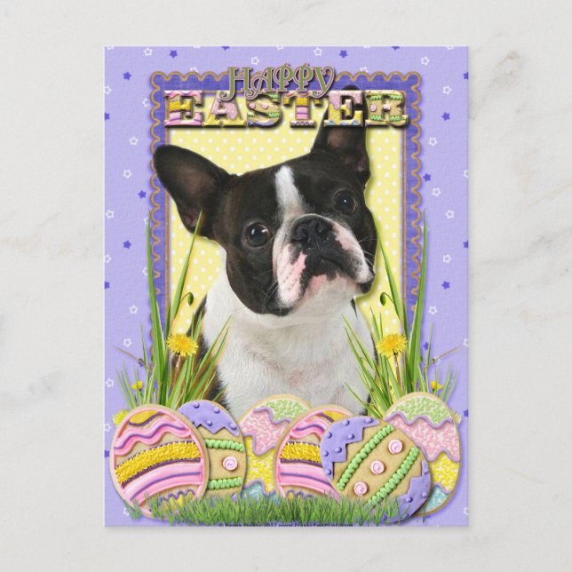 Cartes Pour Fêtes Annuelles Cookies d'oeufs de Pâques - Boston Terrier (Devant)