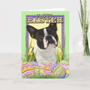 Cartes Pour Fêtes Annuelles Cookies d'oeufs de Pâques - Boston Terrier