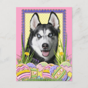 Cartes Pour Fêtes Annuelles Cookies d'oeufs de Pâques - Sibérie Husky