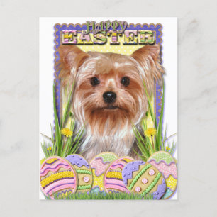 Cartes Pour Fêtes Annuelles Cookies d'oeufs de Pâques - Yorkshire Terrier