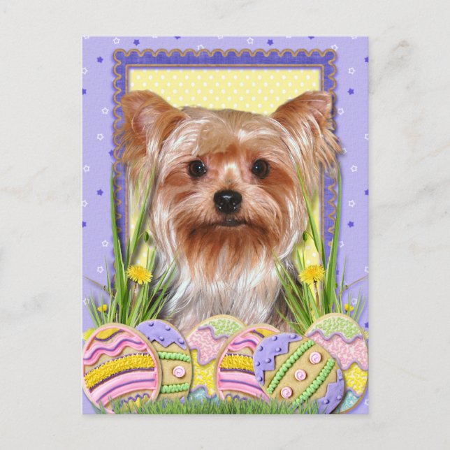 Cartes Pour Fêtes Annuelles Cookies d'oeufs de Pâques - Yorkshire Terrier (Devant)