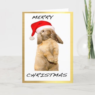 Cartes Pour Fêtes Annuelles "Cool Bunny" design Christmas cards