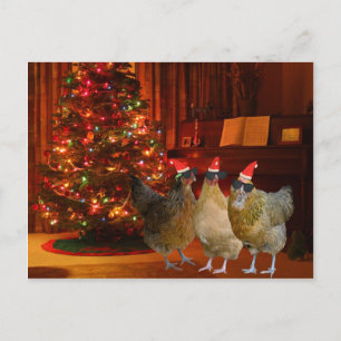 Cartes Pour Fêtes Annuelles Cool Xmas Chickens