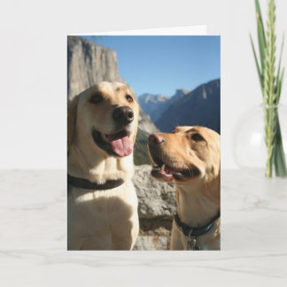 Cartes Pour Fêtes Annuelles Copie de Dogs_TunnelView