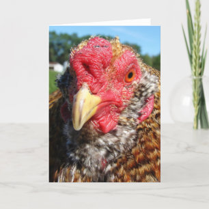 Cartes Pour Fêtes Annuelles Coq créole d'oeufs de Pâques