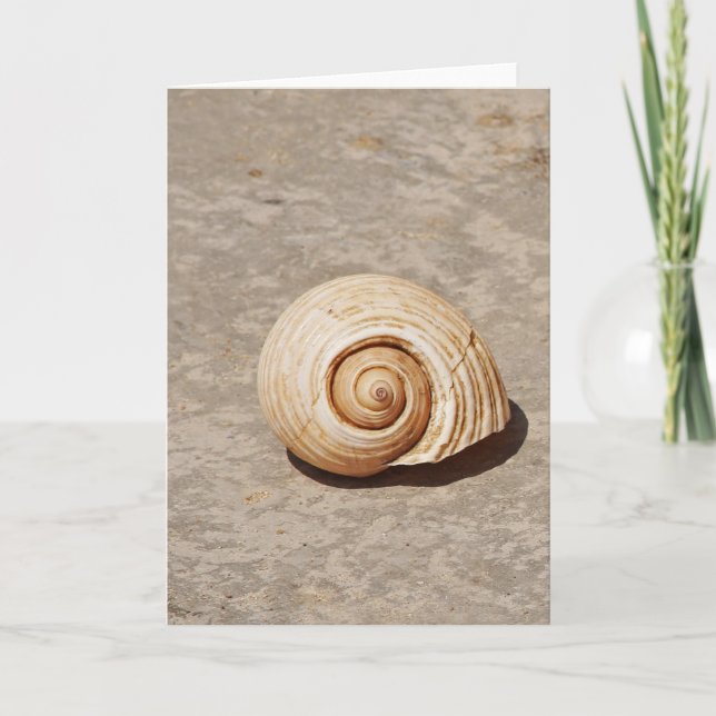 Cartes Pour Fêtes Annuelles Coquillage (Devant)