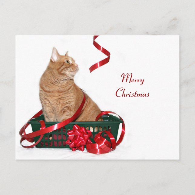 Cartes Pour Fêtes Annuelles Coquin de Noël (Devant)