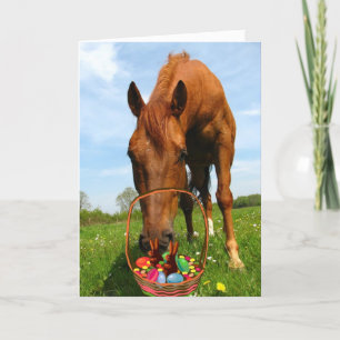 Cartes Pour Fêtes Annuelles Corail et Pâques