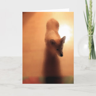 Cartes Pour Fêtes Annuelles Corgi de Noël