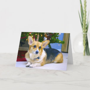 Cartes Pour Fêtes Annuelles Corgi doux de Noël