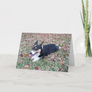 Cartes Pour Fêtes Annuelles Corgi Thanksgiving