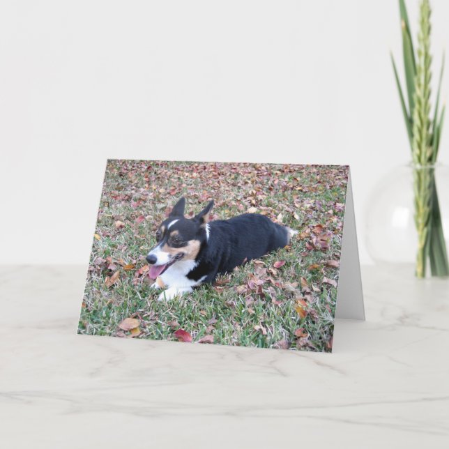 Cartes Pour Fêtes Annuelles Corgi Thanksgiving (Devant)