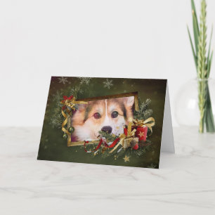 Cartes Pour Fêtes Annuelles Corgi Tricolore de Noël qui regarde