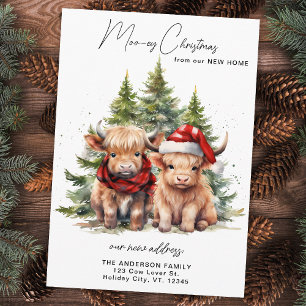 Cartes Pour Fêtes Annuelles Cosy Highland Cow Nouvelle adresse Joyeux Noël