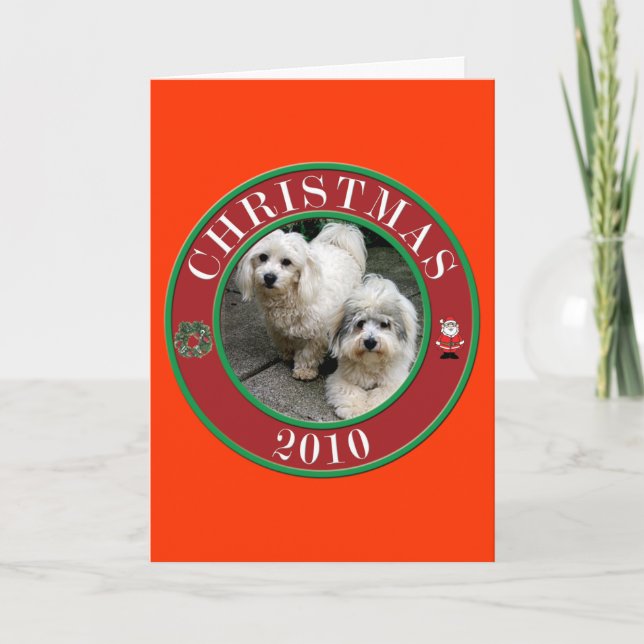Cartes Pour Fêtes Annuelles Coton De Tulear à Noël (Devant)