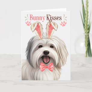 Cartes Pour Fêtes Annuelles Coton de Tulear Chien dans Bunny Ears pour Pâques