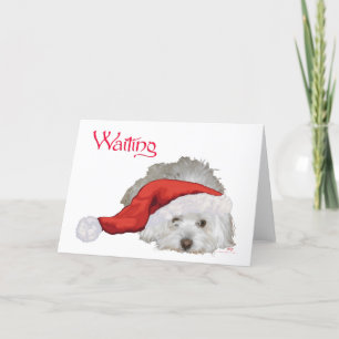 Cartes Pour Fêtes Annuelles Coton de Tulear - En attente