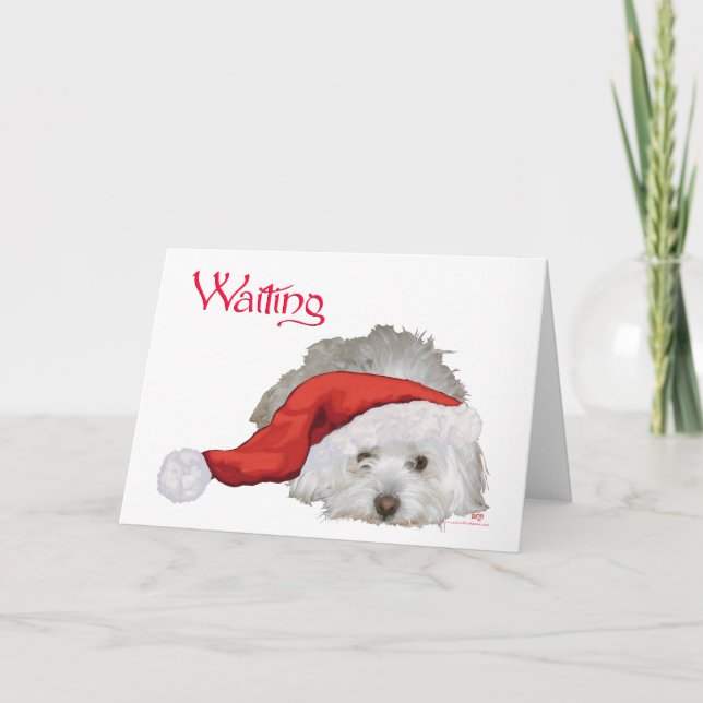 Cartes Pour Fêtes Annuelles Coton de Tulear - En attente (Devant)