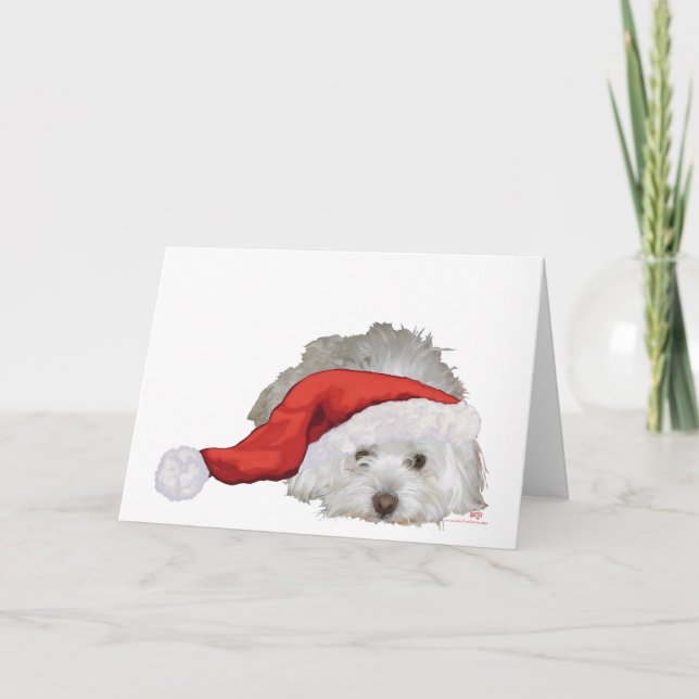 Cartes Pour Fêtes Annuelles Coton de Tulear - En attente (Devant)
