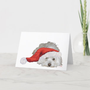 Cartes Pour Fêtes Annuelles Coton de Tulear - En attente