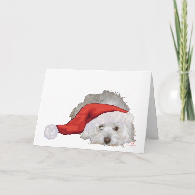 Cartes Pour Fêtes Annuelles Coton de Tulear - En attente (Devant)