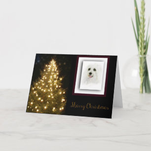 Cartes Pour Fêtes Annuelles Coton DeTulear