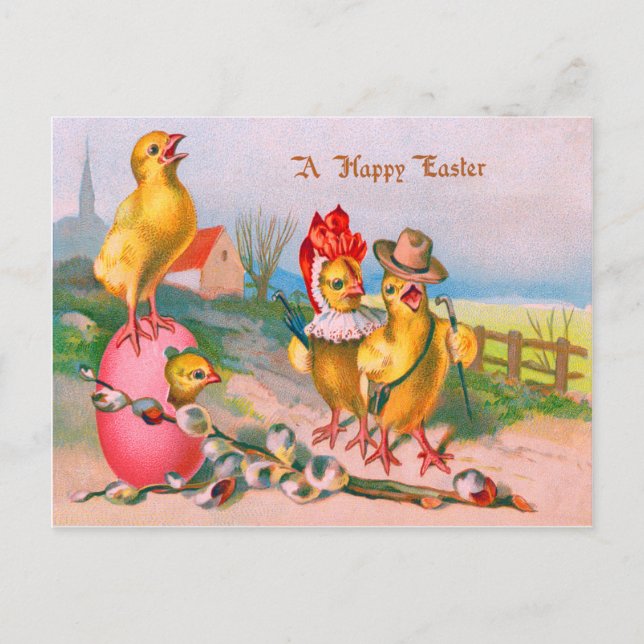 Cartes Pour Fêtes Annuelles Coton d'oeuf couleur poulet de Pâques (Devant)