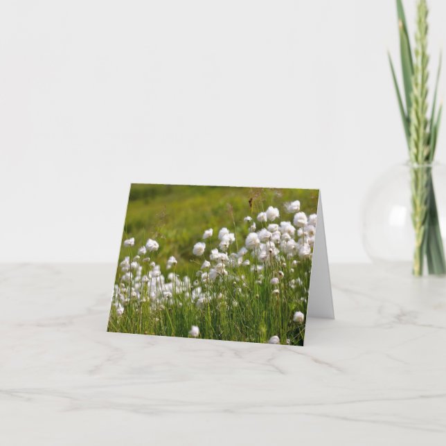 Cartes Pour Fêtes Annuelles Cotton Grass Meadow - 4" x 5.6" Notecard (Devant)