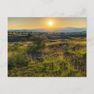 Cartes Pour Fêtes Annuelles Coucher de soleil doré sur une forêt luxuriante