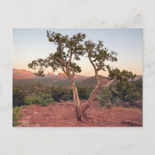 Cartes Pour Fêtes Annuelles Coucher de soleil sur Lovers Knoll à Sedona