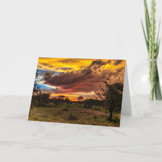 Cartes Pour Fêtes Annuelles Coucher du soleil sauvage, Afrique du Sud