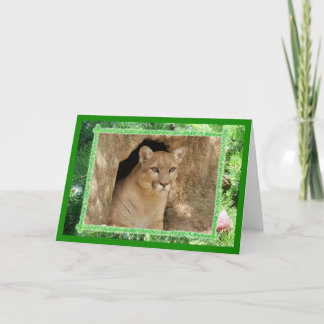 Cartes Pour Fêtes Annuelles Cougar Christmas Greeting Card