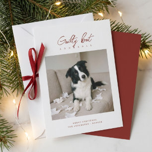 Cartes Pour Fêtes Annuelles Coupable Mais Adorable Photo de Chien Drôle Noël