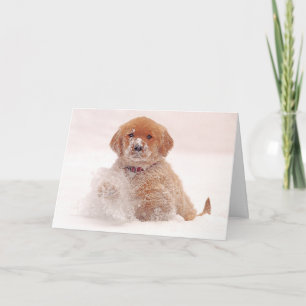 Cartes Pour Fêtes Annuelles Coupe d'or d'essais en neige