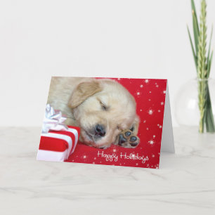 Cartes Pour Fêtes Annuelles Coupe Golden Retriever de Noël
