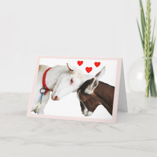 Cartes Pour Fêtes Annuelles Couples de chèvre de Valentine