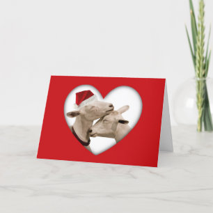 Cartes Pour Fêtes Annuelles Couples mignons de chèvre de Noël